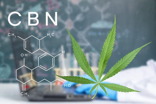 CBN vs Melatonin