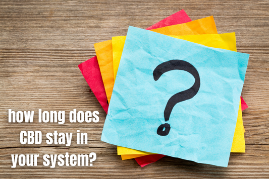How Long Does CBD Stay In Your System?