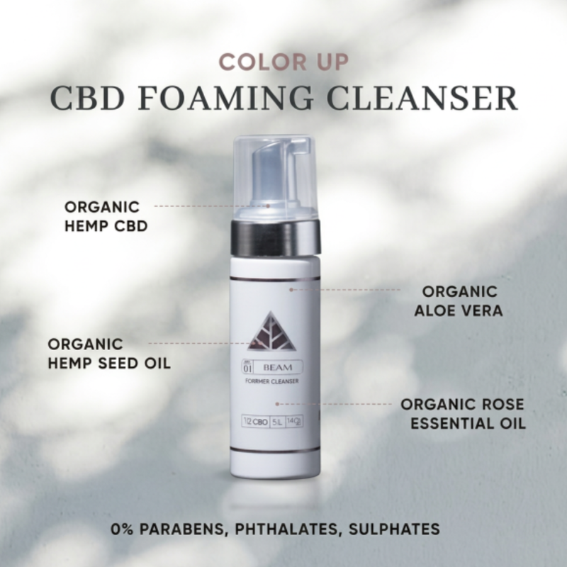 Is Foam Really Bad for the Skin Barrier? A Deeper Look at Cleanser Chemistry, Surfactants, and the Cutaneous Endocannabinoid System