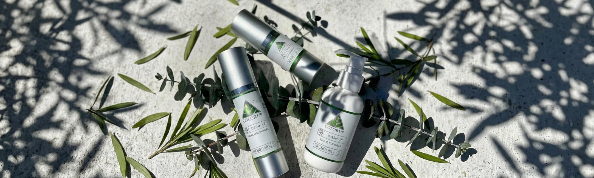 Color Up LIFE skincare collection featuring facial cleanser, moisturizer, and eye cream with botanical ingredients for everyday skincare.