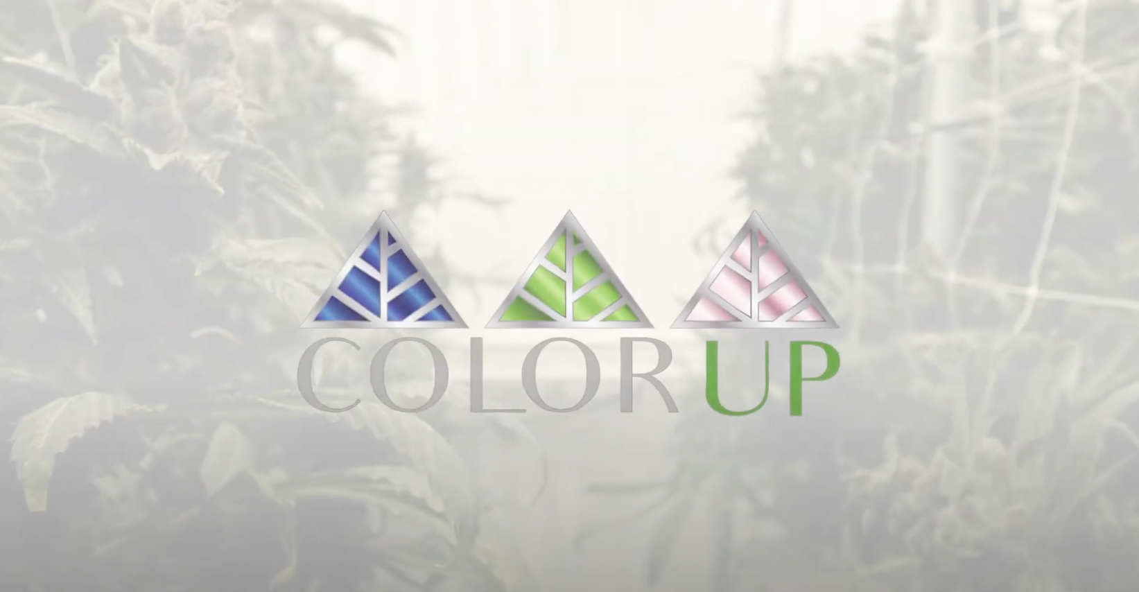 Load video: As the pioneers of CBD Skincare, we intend to cultivate balance, harmony, and ease by evoking the power of self-healing for each of our customers and clients.