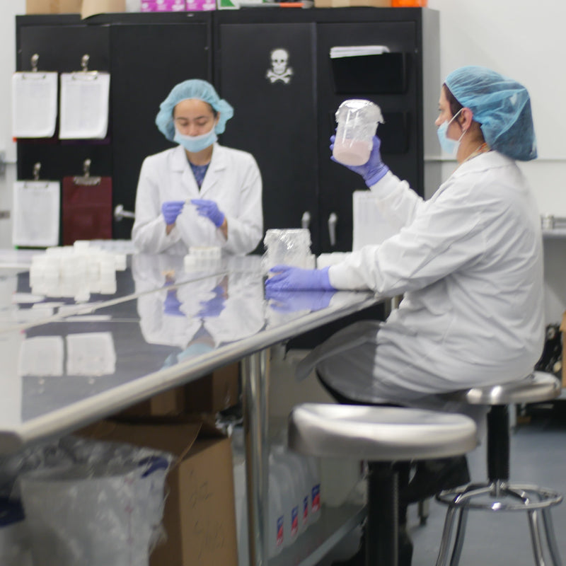 Two Color Up lab scientists in white lab coats, blue hairnets, and gloves handling a white bottle in a clean laboratory setting with stainless steel tables and storage cabinets.